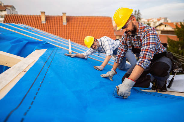 Trusted Lyons, IL Roofing Contractor Experts