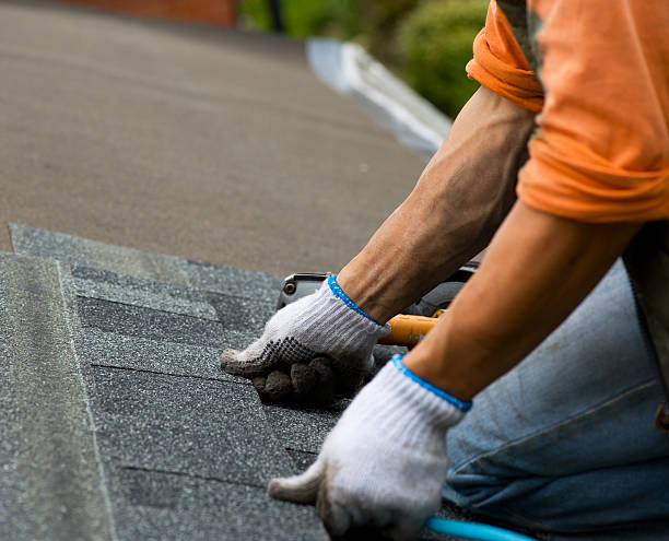 Best New Roof Installation  in Lyons, IL